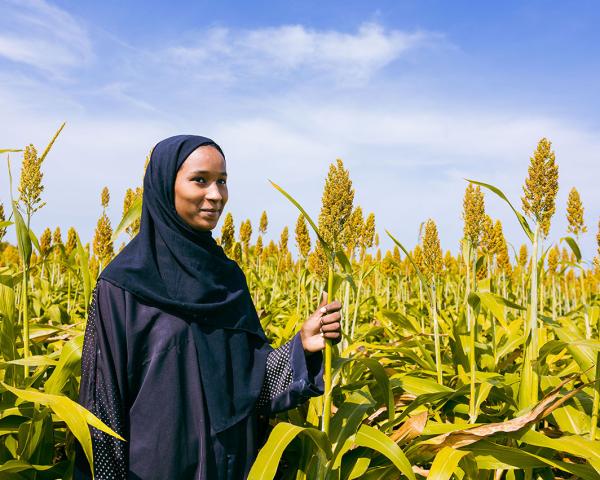 EAA Foundation In partnership with FAO launches the Livestock Restocking Initiative to Strengthen Food Security and Rebuild Livelihoods in Sudan